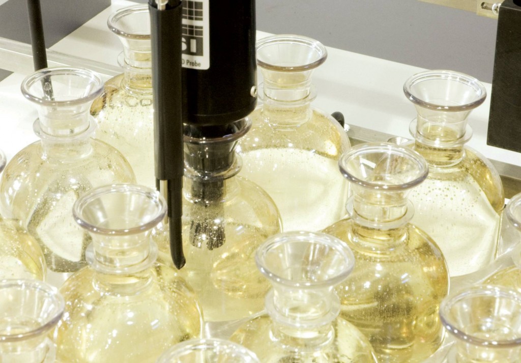 Cleaning BOD bottles