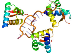 Continuous processing protein