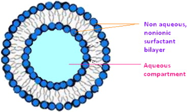 Nonionic Surfactant