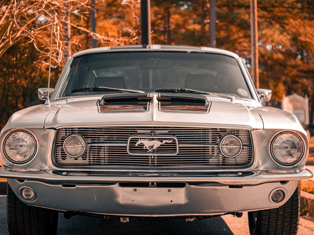 Mustang 5996569 1920