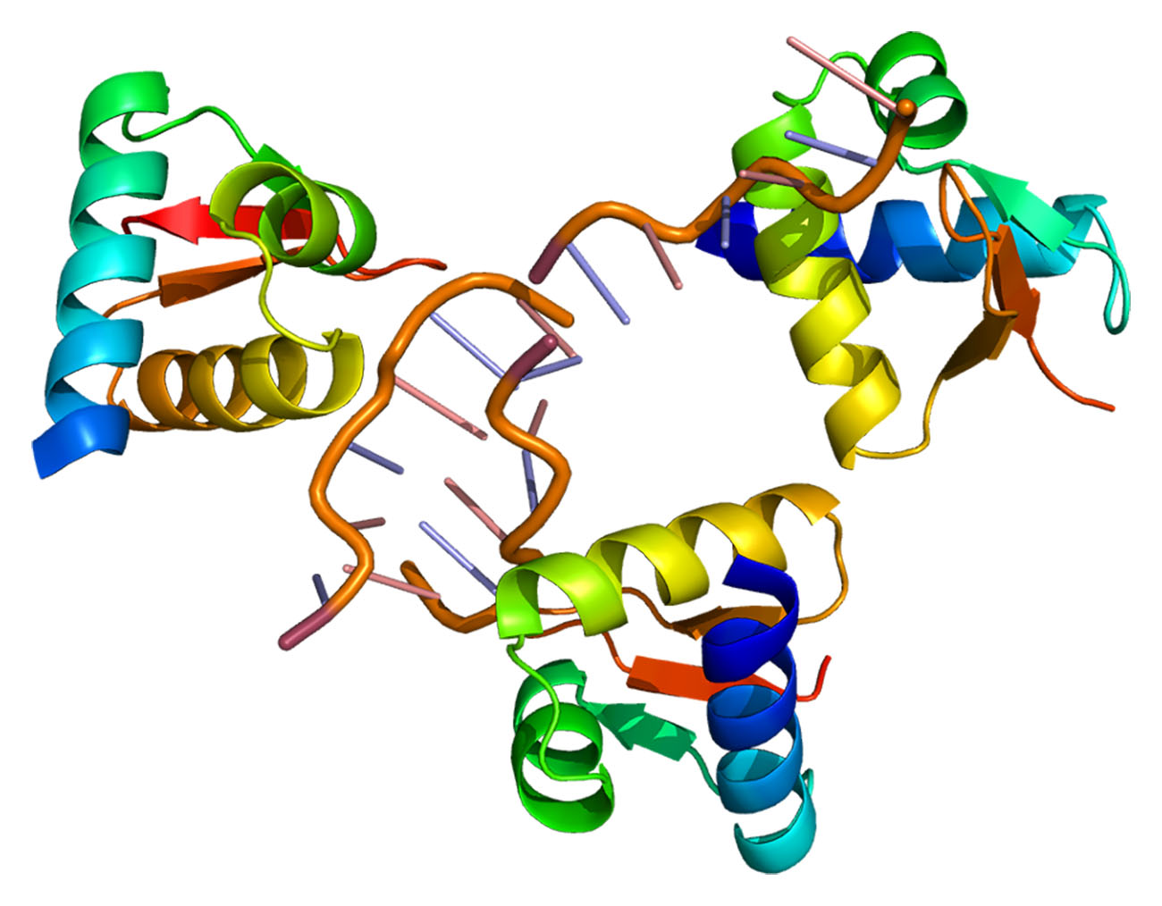 Continuous processing protein