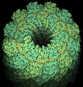 Virus Proteins