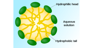 The Critical Micelle Concentration of Detergent