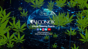 Alconox Cannabis